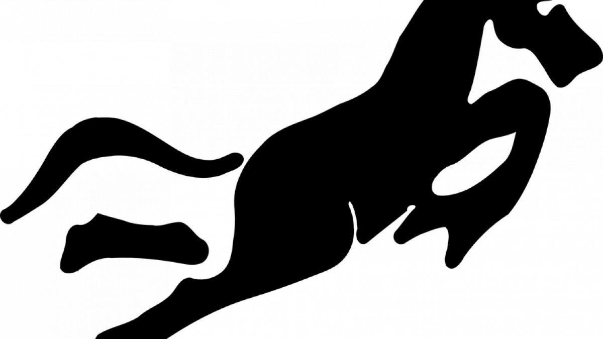 zodiac chinezesc luna martie