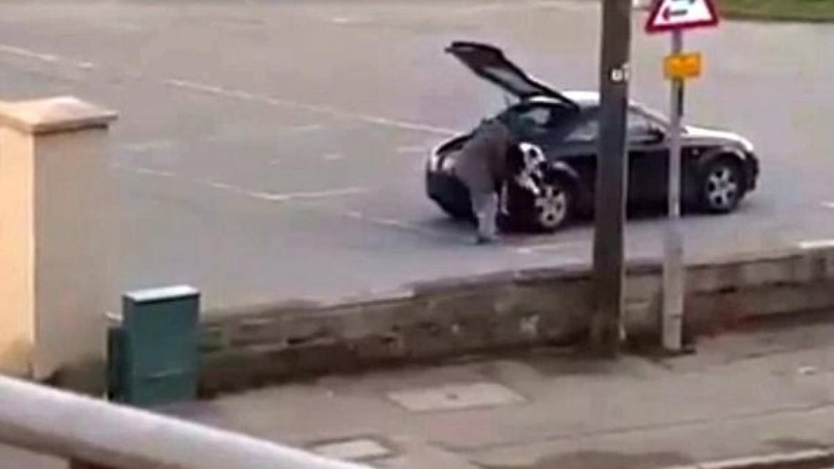 cersetor mancare bani bolid lux