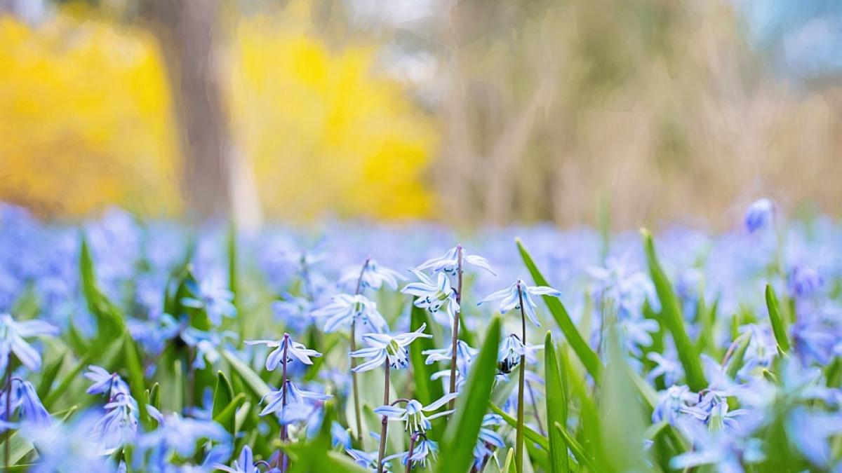 prognoza meteo pentru joi si vineri