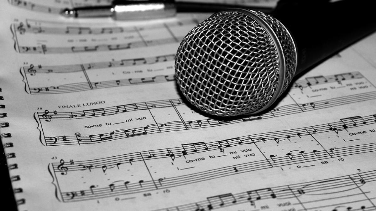 sanie cu zurgalai scandal de plagiat in kazahstan