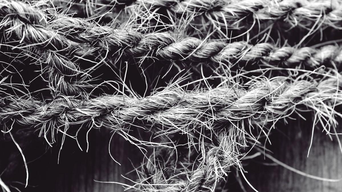 un angajat al unei primarii din vrancea gasit spanzurat