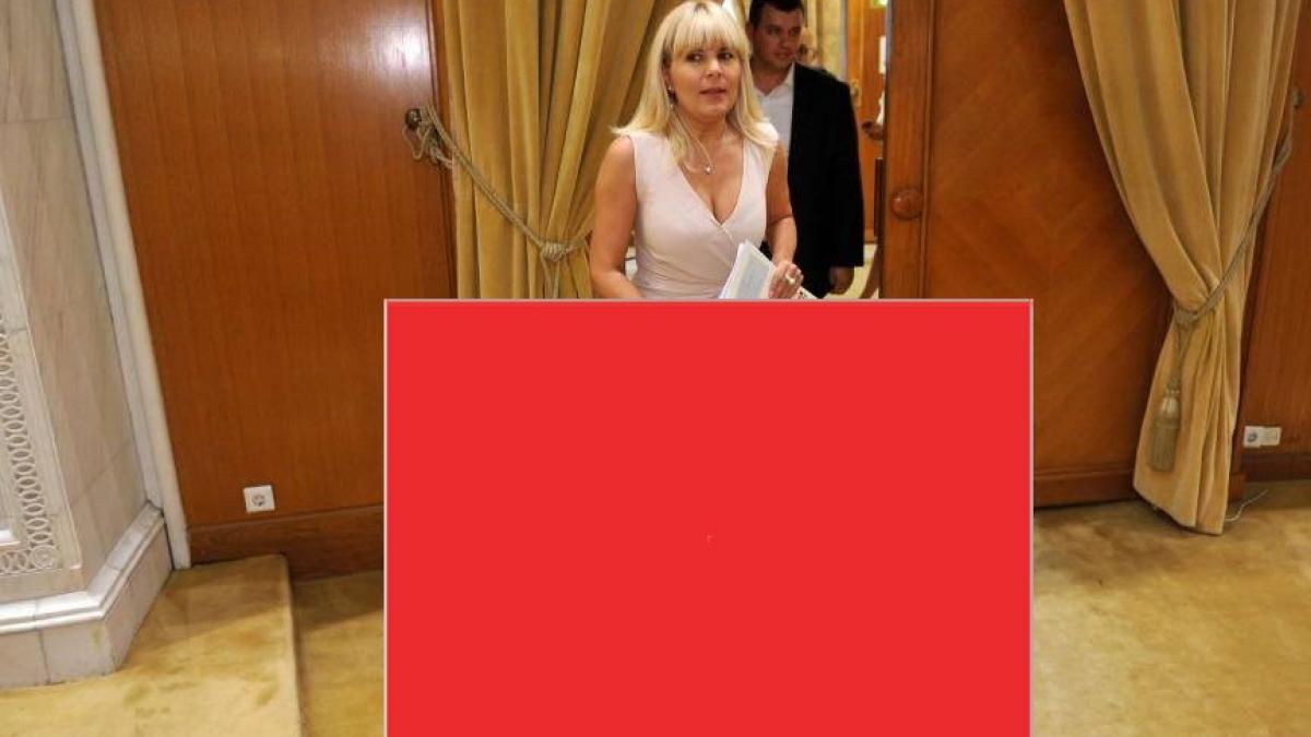cum a aparut elena udrea in fata judecatorilor trecatorii s au uitat lung si au ramas socati