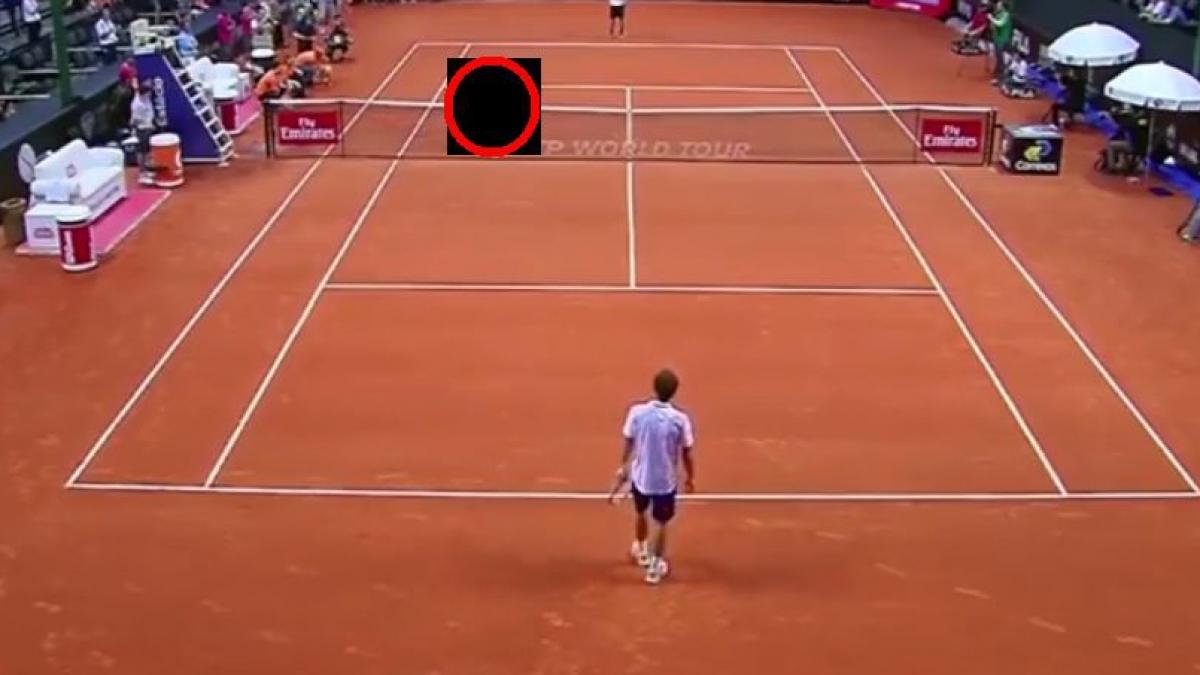 aparitie surpriza pe terenul de tenis in timpul unui mare turneu spectatorilor nu le a venit sa