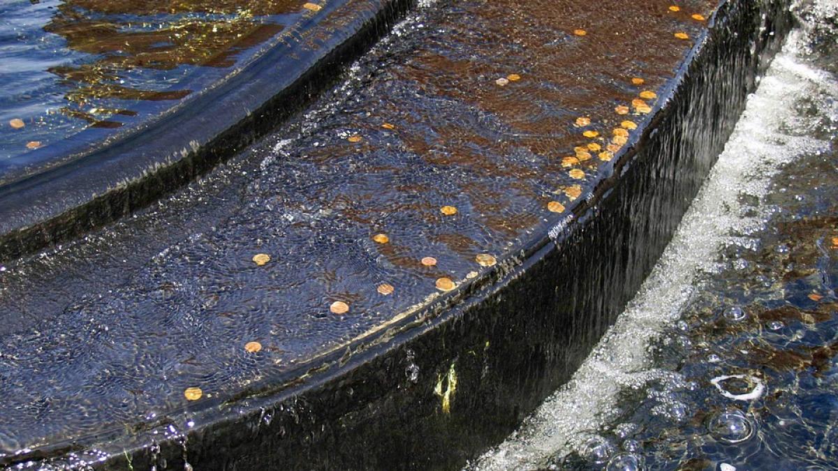 cati bani arunca turistii in cele mai faimoase fantani din lume inclusiv la bran si ce se intampla