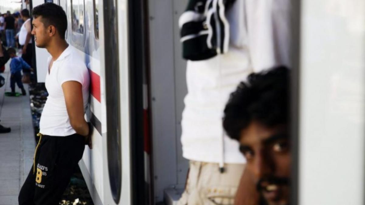 sirieni prinsi in romania