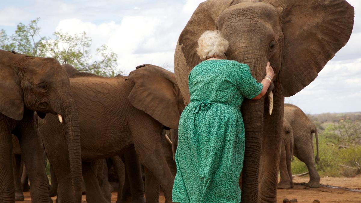 elefantii stau la rand ca sa o imbratiseze pe aceasta batrana video
