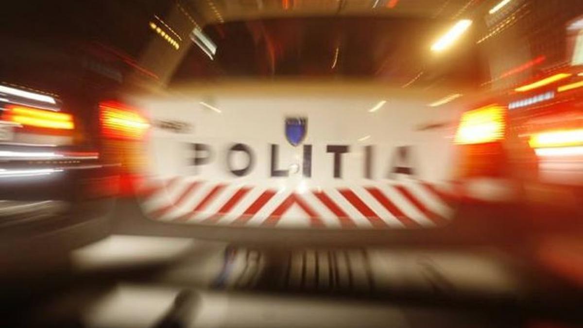mesaj politie mucenici
