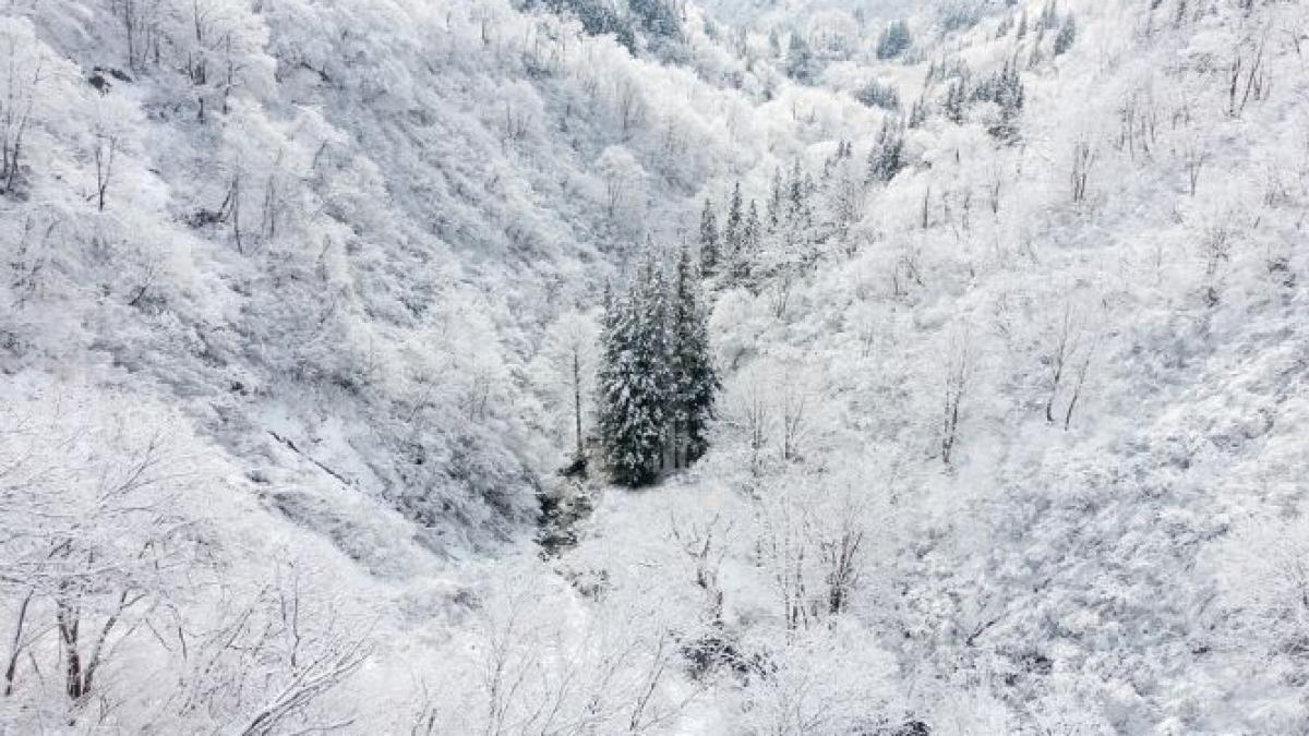 prognoza meteo doua saptamani