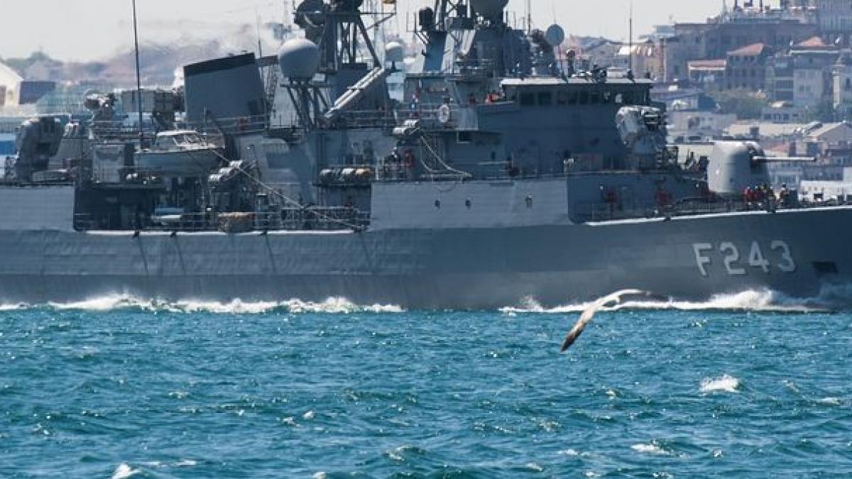 rusia marea neagra delfini razboi