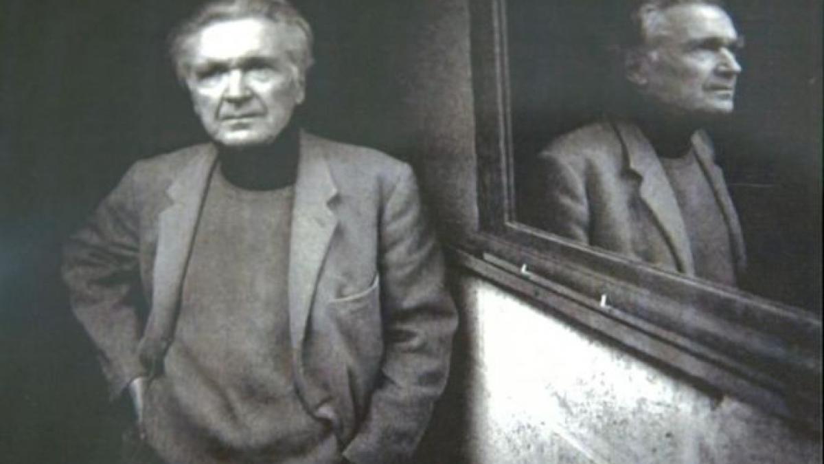carnete cioran licitatie