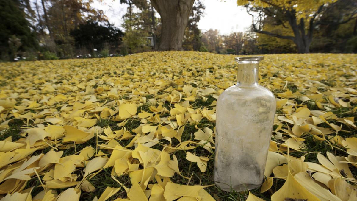 cel mai lung experiment din istorie a inceput deja de peste un secol si nu vom trai sa aflam