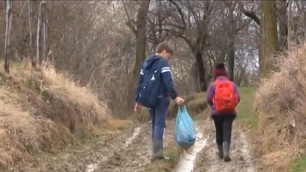 drum dambovita noroaie