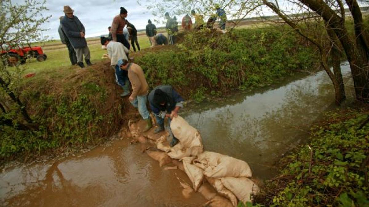 dunare cota de inundatii