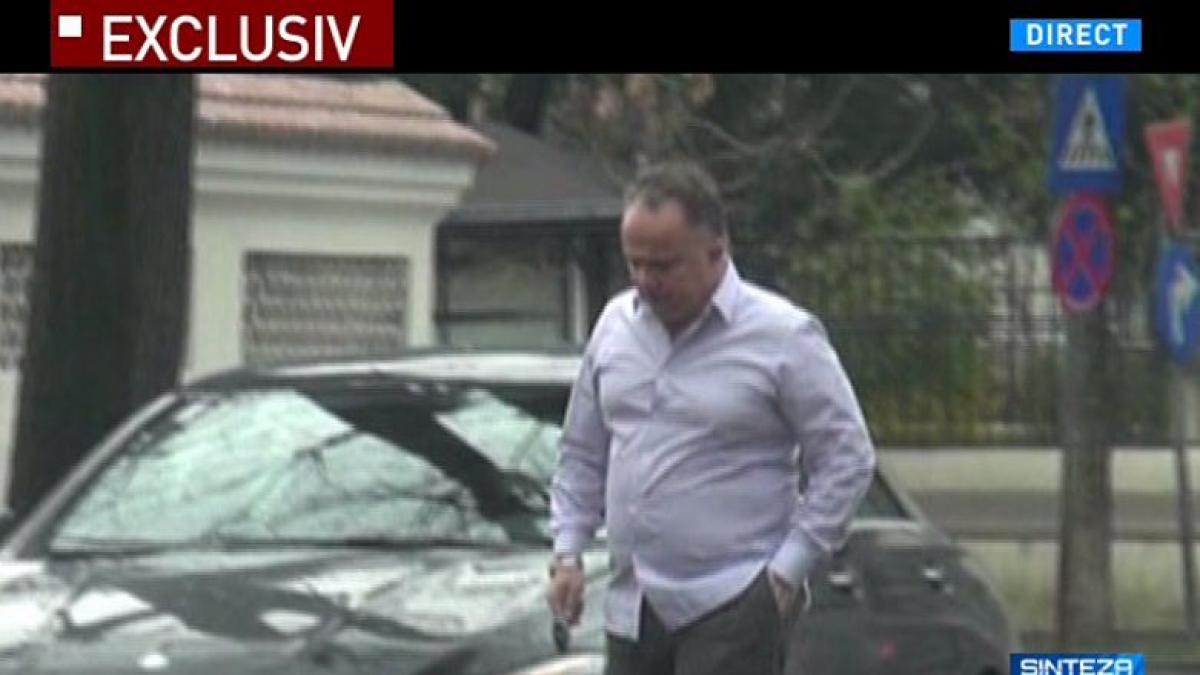 sinteza zilei mihai gadea imagini