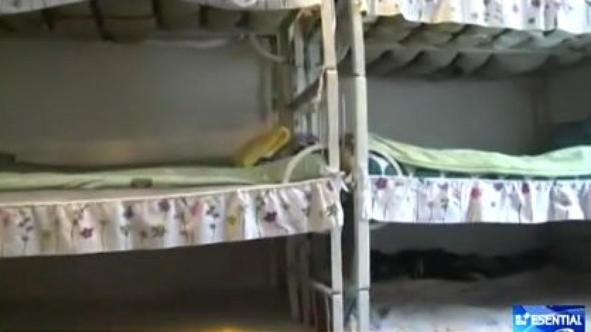 decizie pilot cedo romania