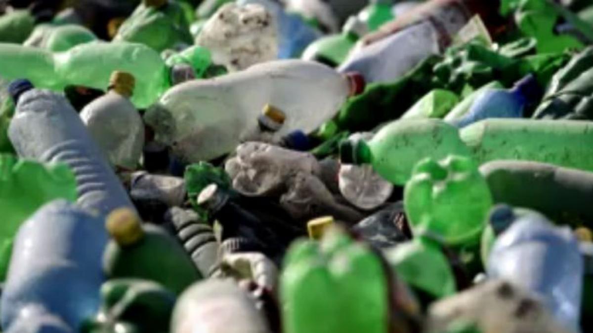 descoperire stiintifica majora in japonia o bacterie care mananca plasticul