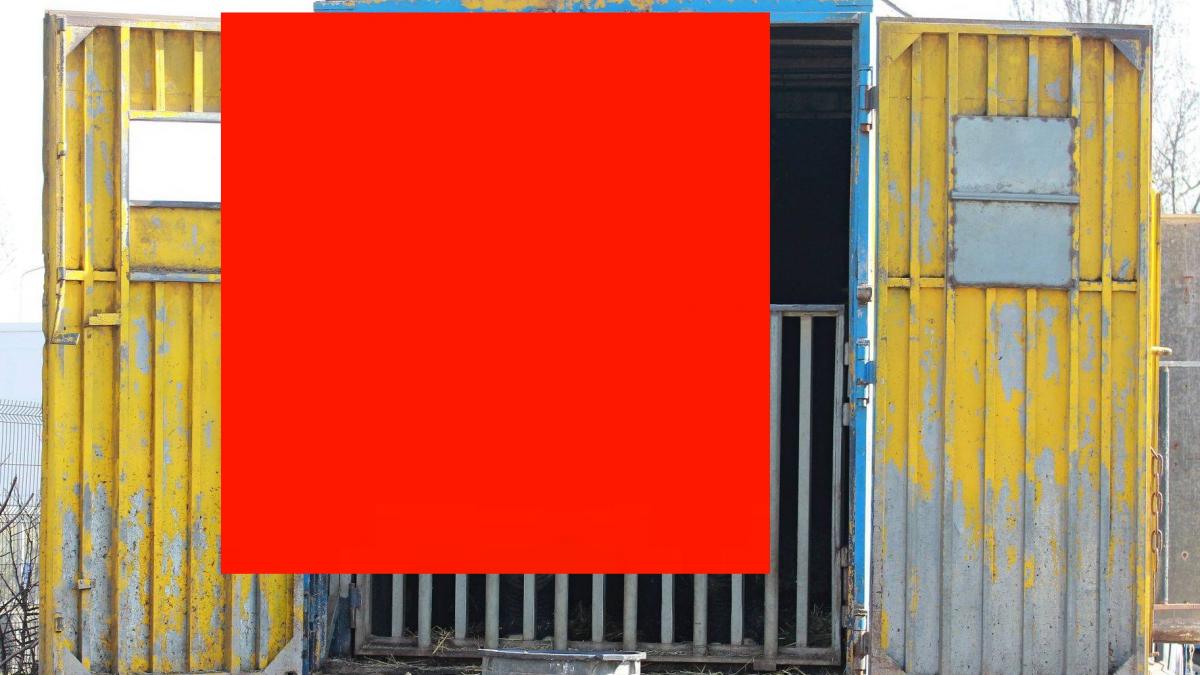 elefant parcare magazin bucuresti