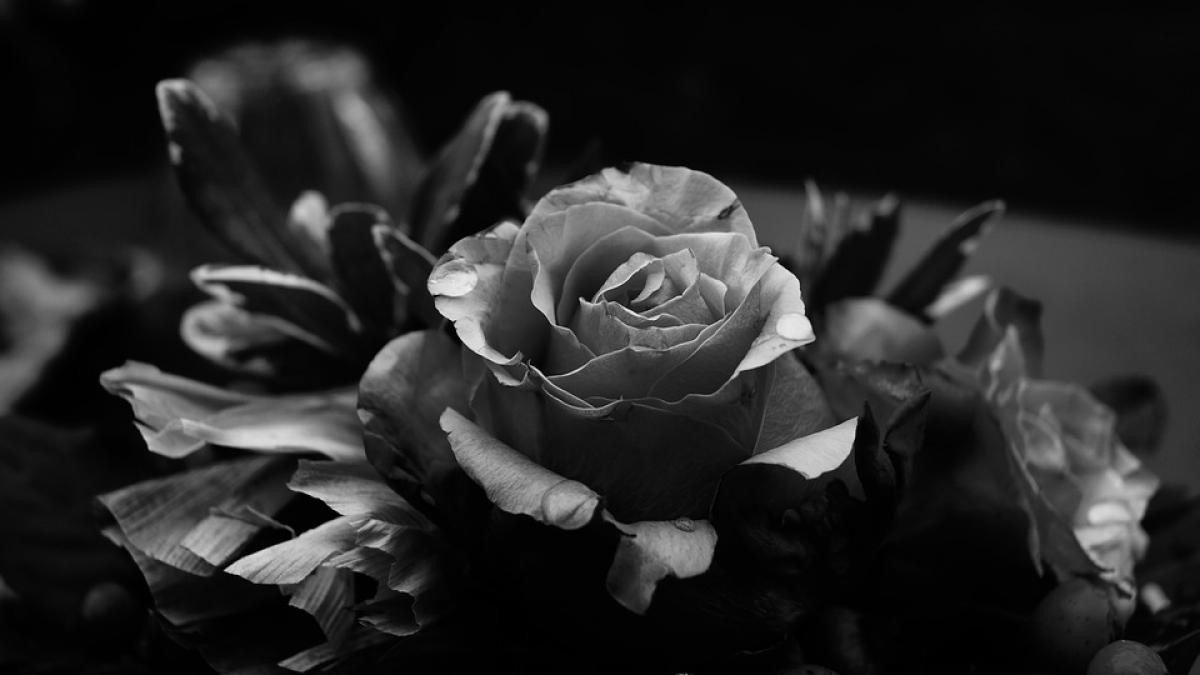 iolanda balas soter a murit ce spunea acum cinci ani despre viata sa