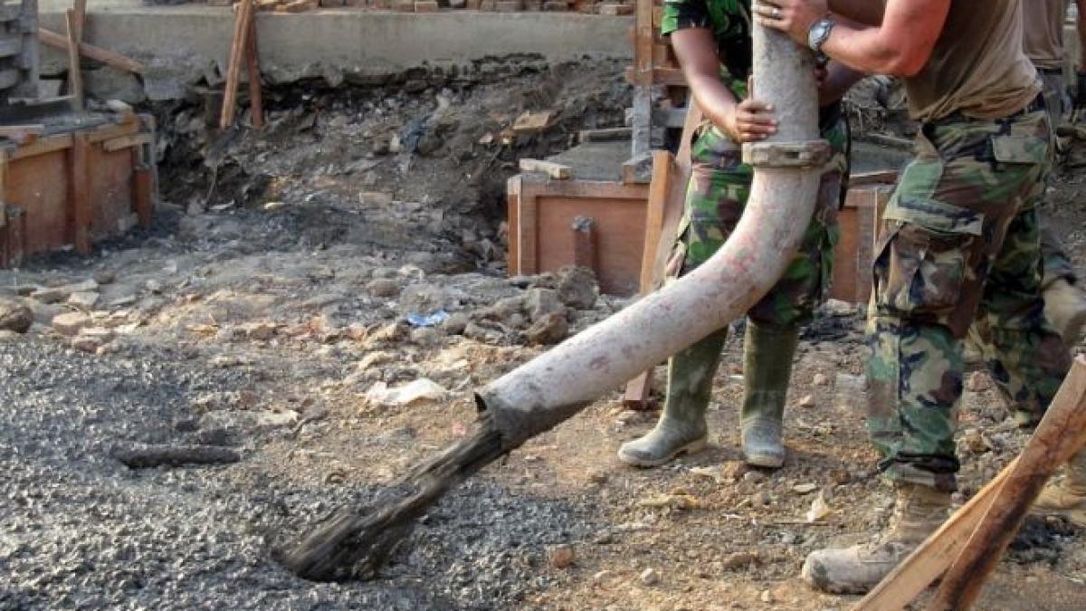 au turnat ciment intr o groapa dupa cateva ore au vazut o mana care iesea de acolo