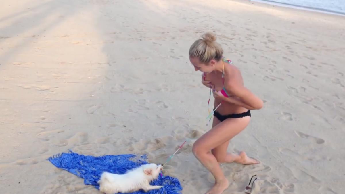 un catel cam prea insistent si o stapana depasita de situatie video