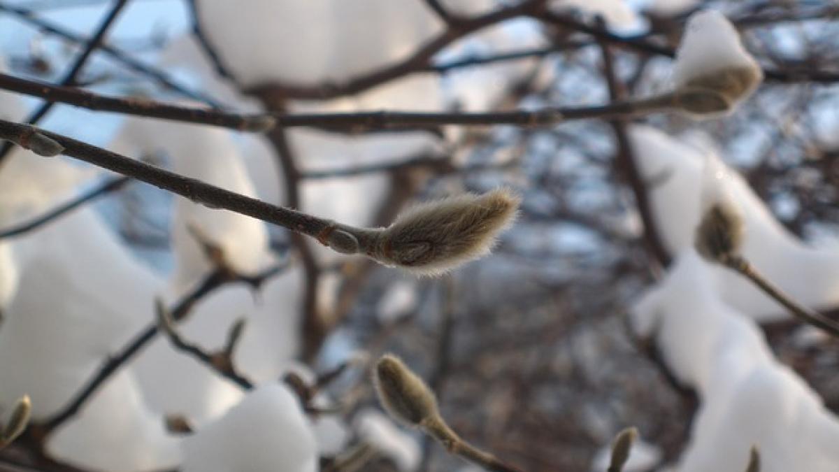 vremea rea se intoarce in romania unde va ninge