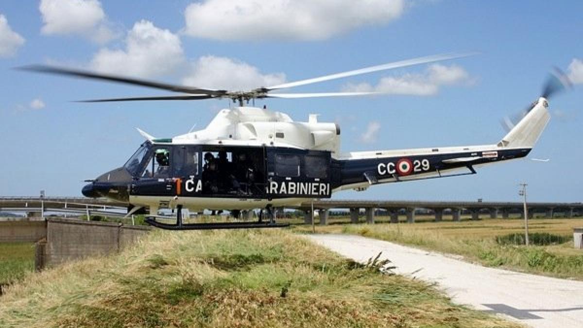 o romanca a murit in italia dupa ce a fost accidentata pe autostrada