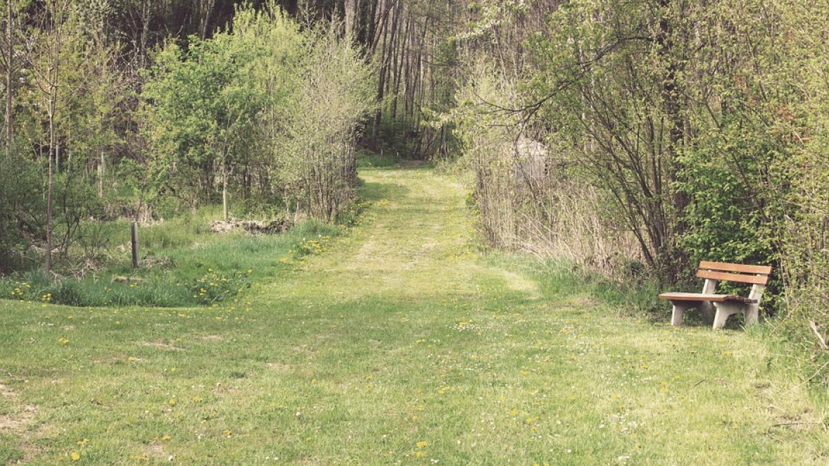 descoperire macabra intr o zona marginasa a orasului hunedoara