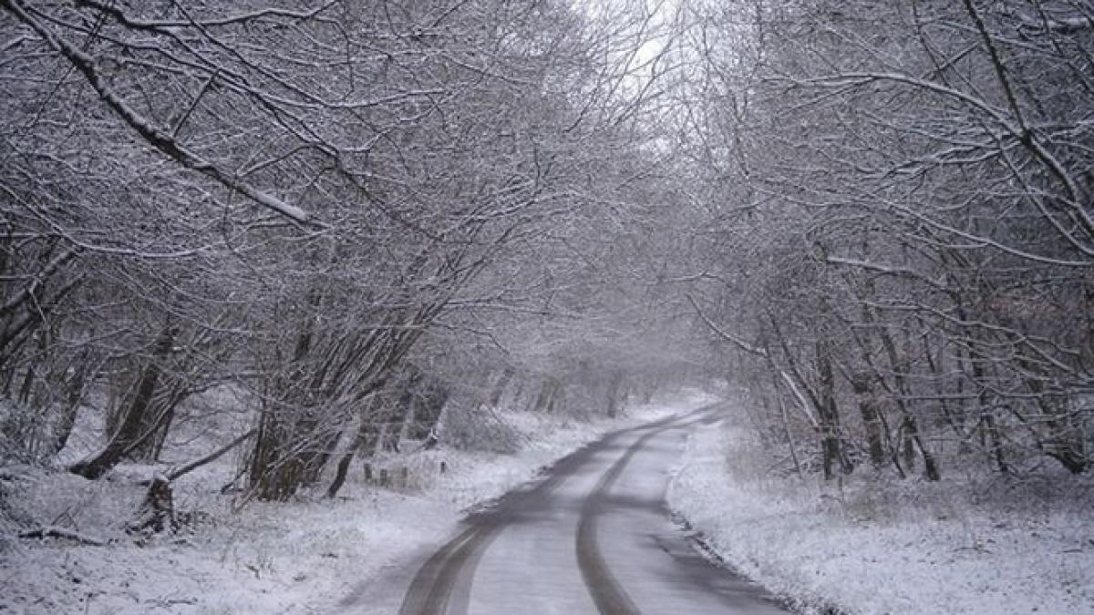 ninge temperaturi scazute si zapada la suceava