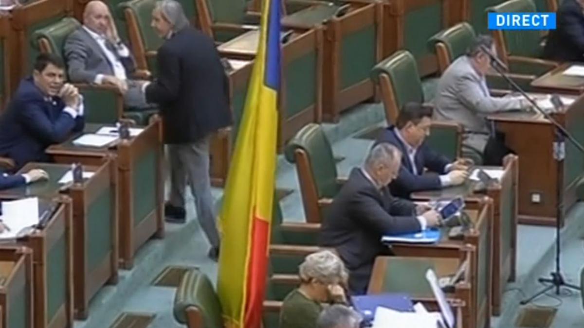 senatoarea cristiana anghel lovita in cap cu steagul lui ilie nastase