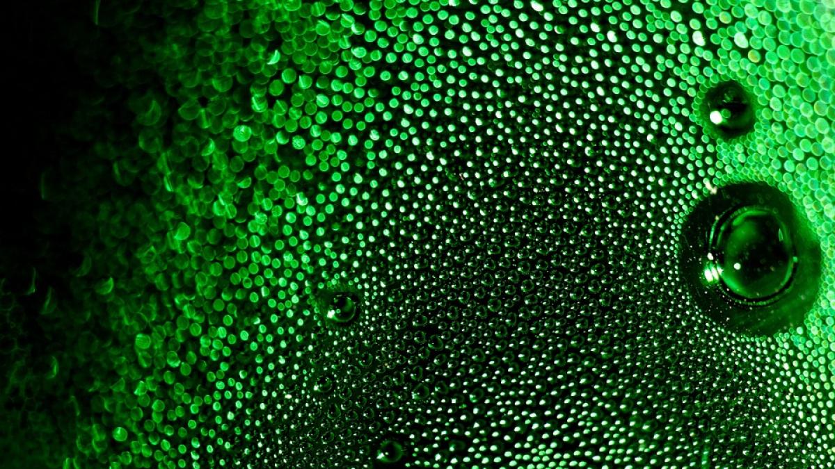 studiu bautura bere tratament cancer