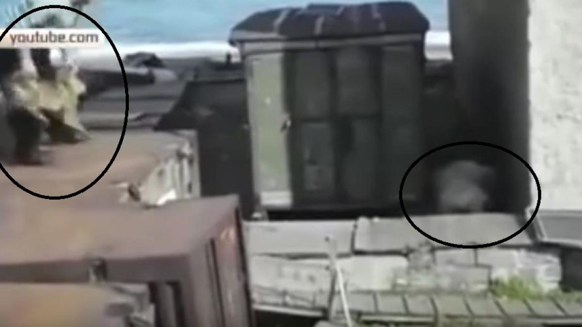 urs caine video rusia socant