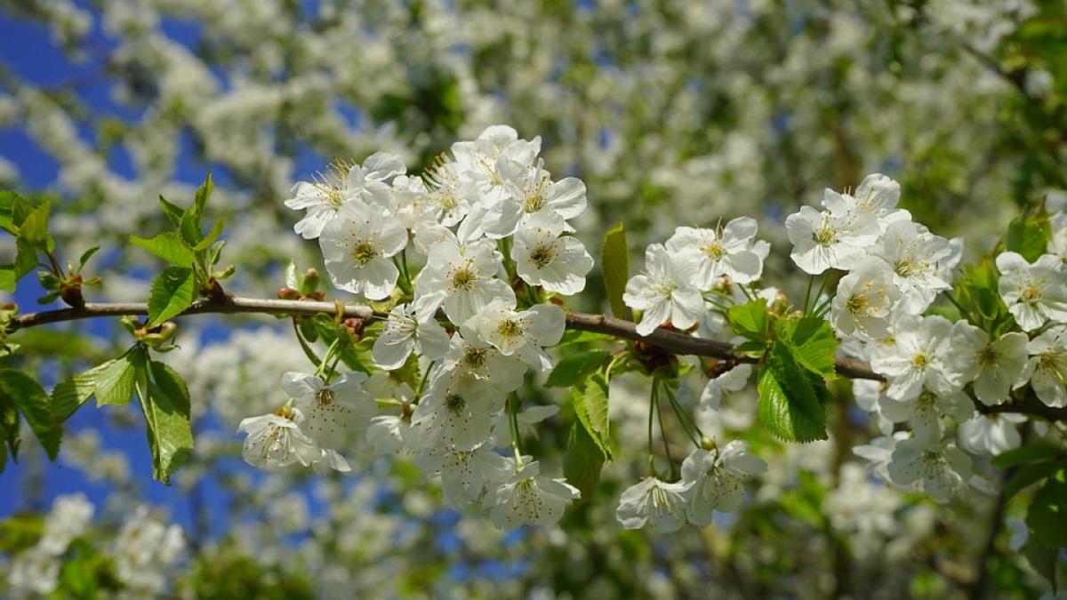 vremea va fi deosebit de rece