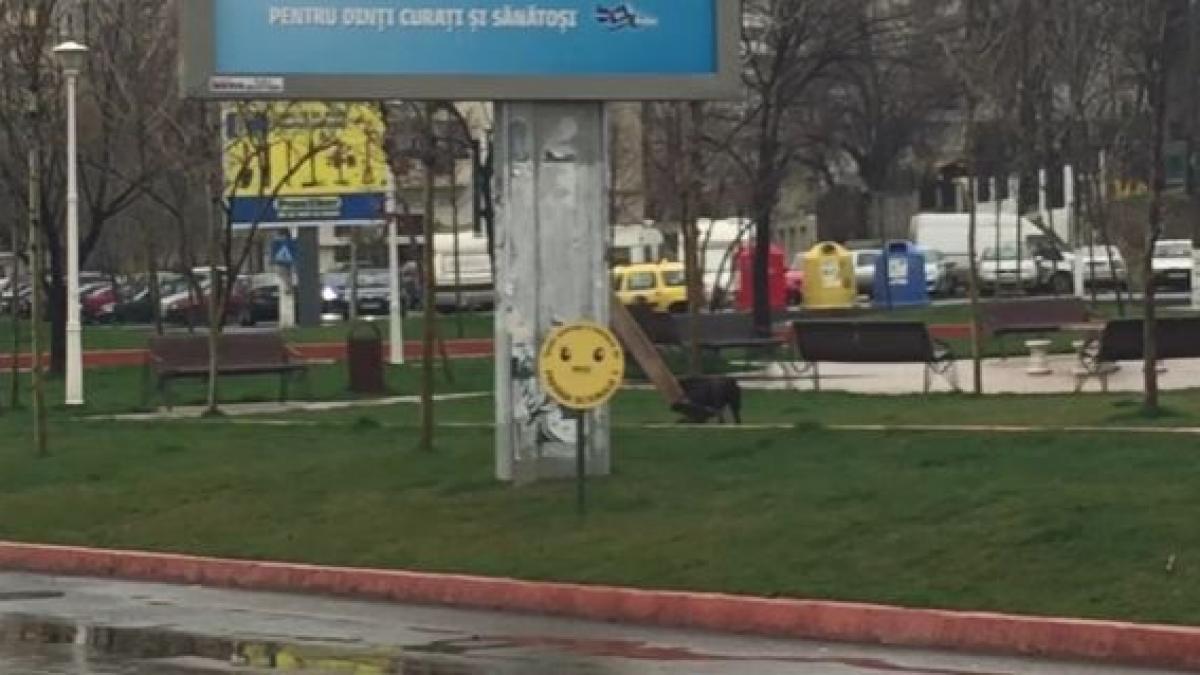 aparitie stranie barbat cruce bucuresti