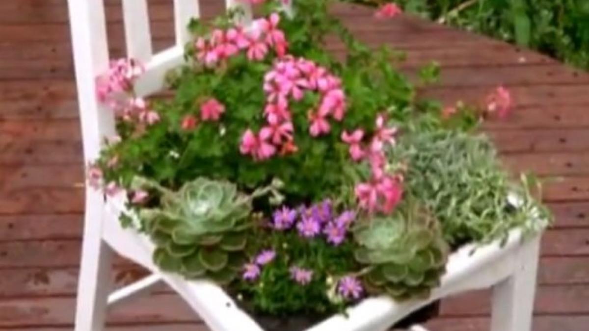 idei de refolosire a mobilierului vechi pentru decorarea gradinii