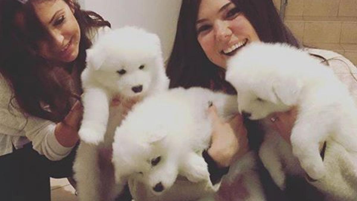 paula seling a postat o poza pe facebook iar fanii ei au inceput sa se insulte cum a reactionat