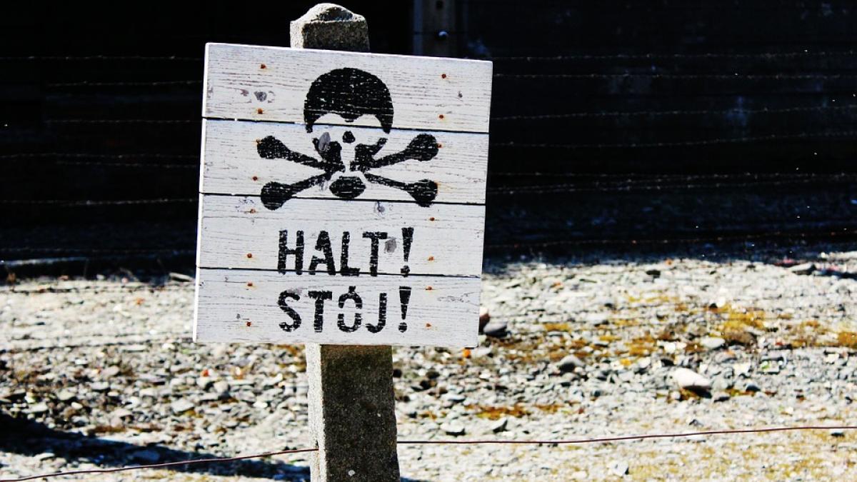 a trimis o drona deasupra auschwitzului ce a aflat este infiorator