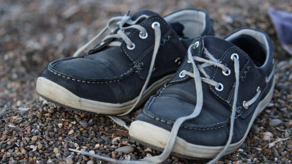 ce a putut gasi un pusti in incaltamitea sa toata familia s a panicat