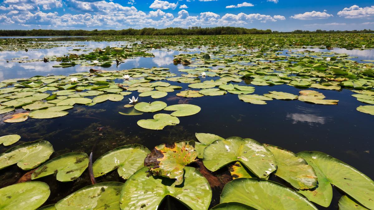 delta dunarii all inclusive pentru toti romanii