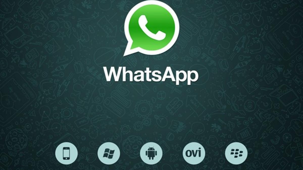 functie noua whatsapp