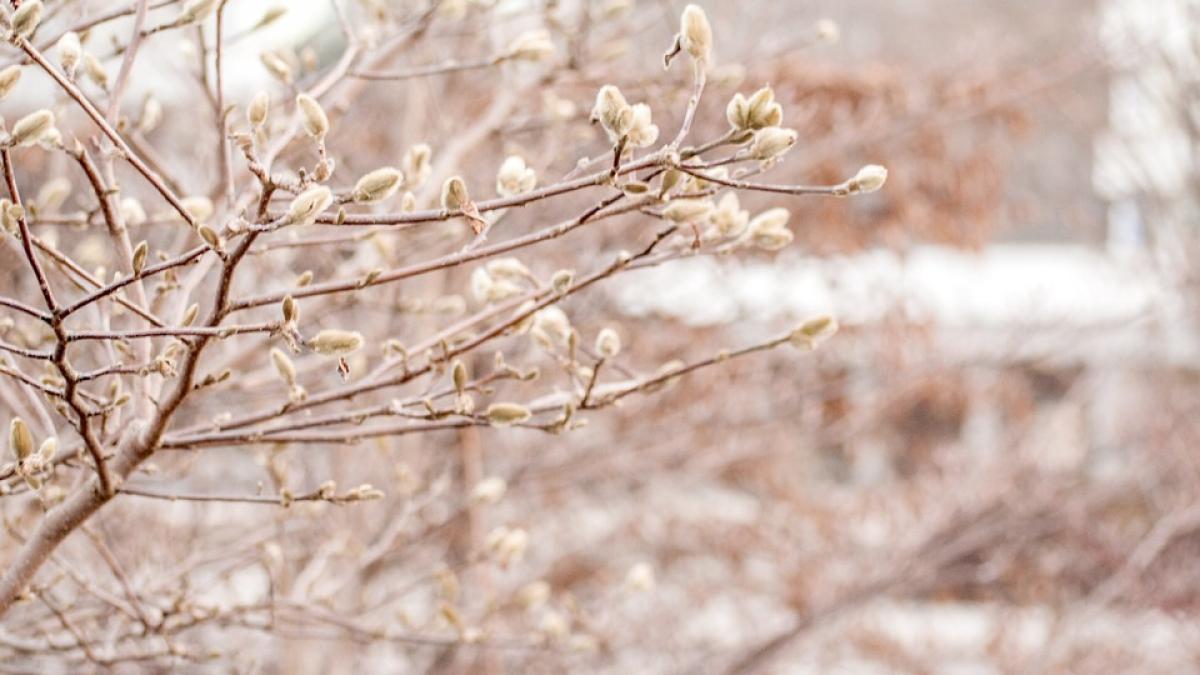 informare de vreme rece