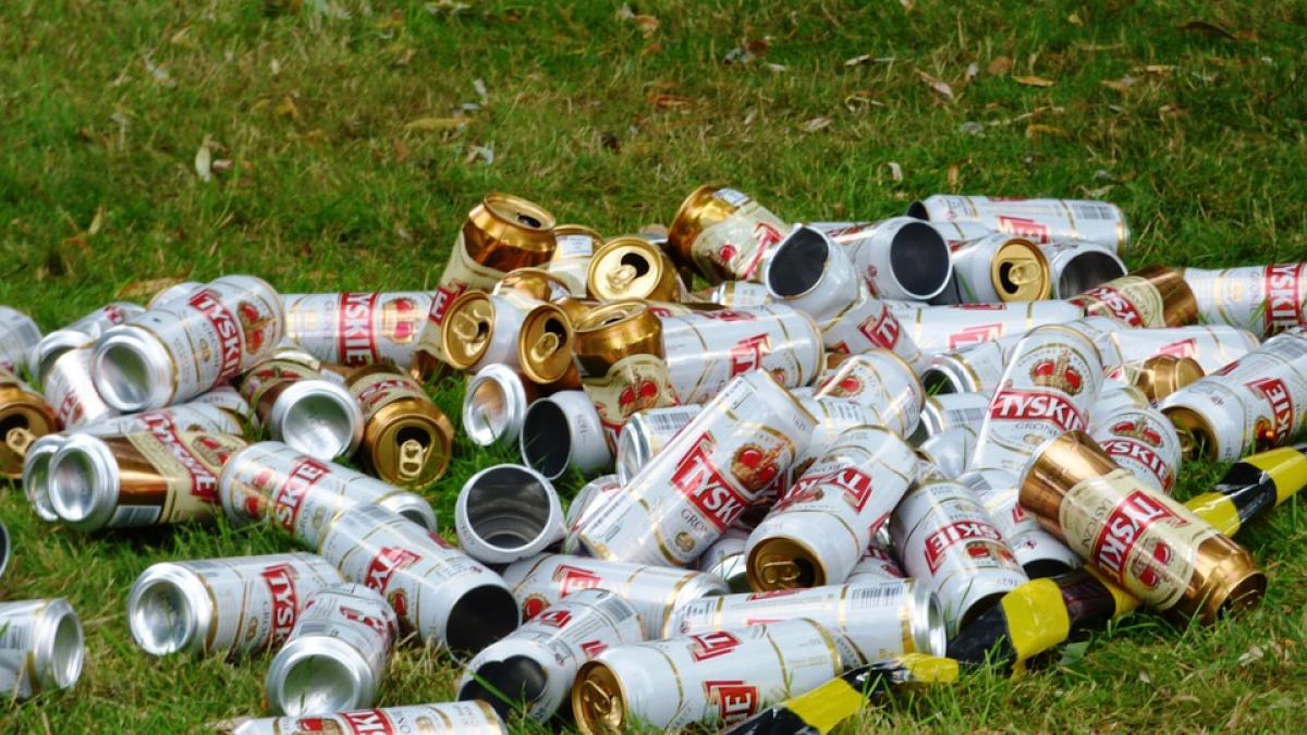 om de afaceri deseuri padure