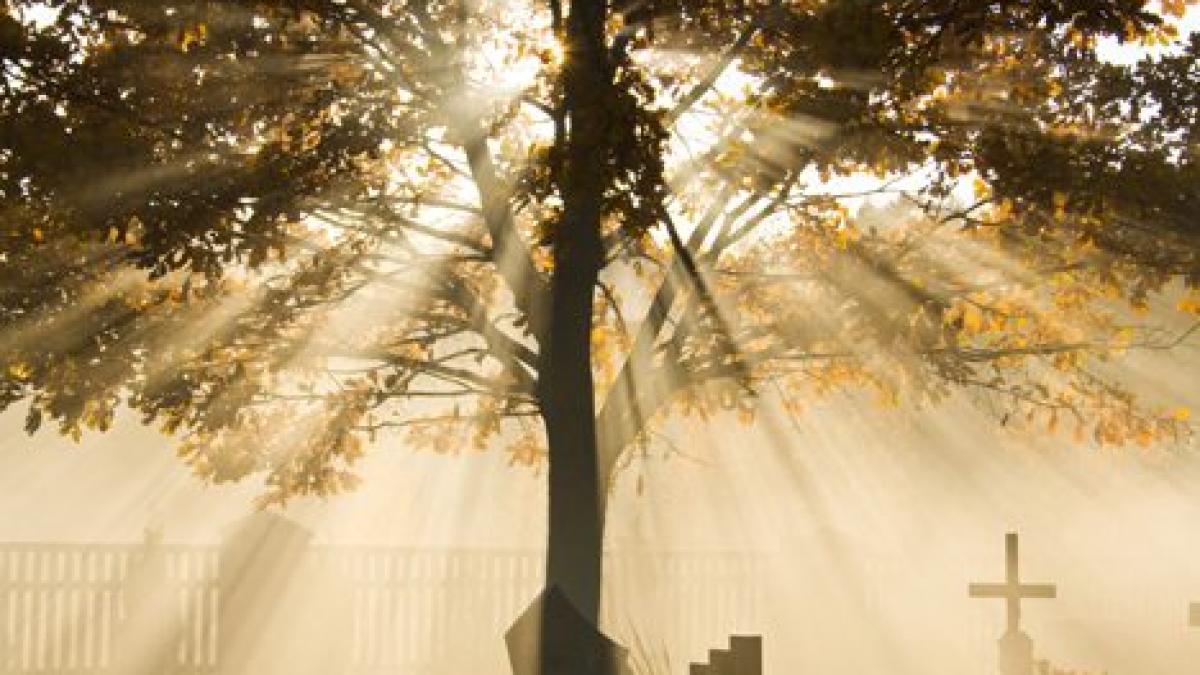 regrete india oameni povesti iubire