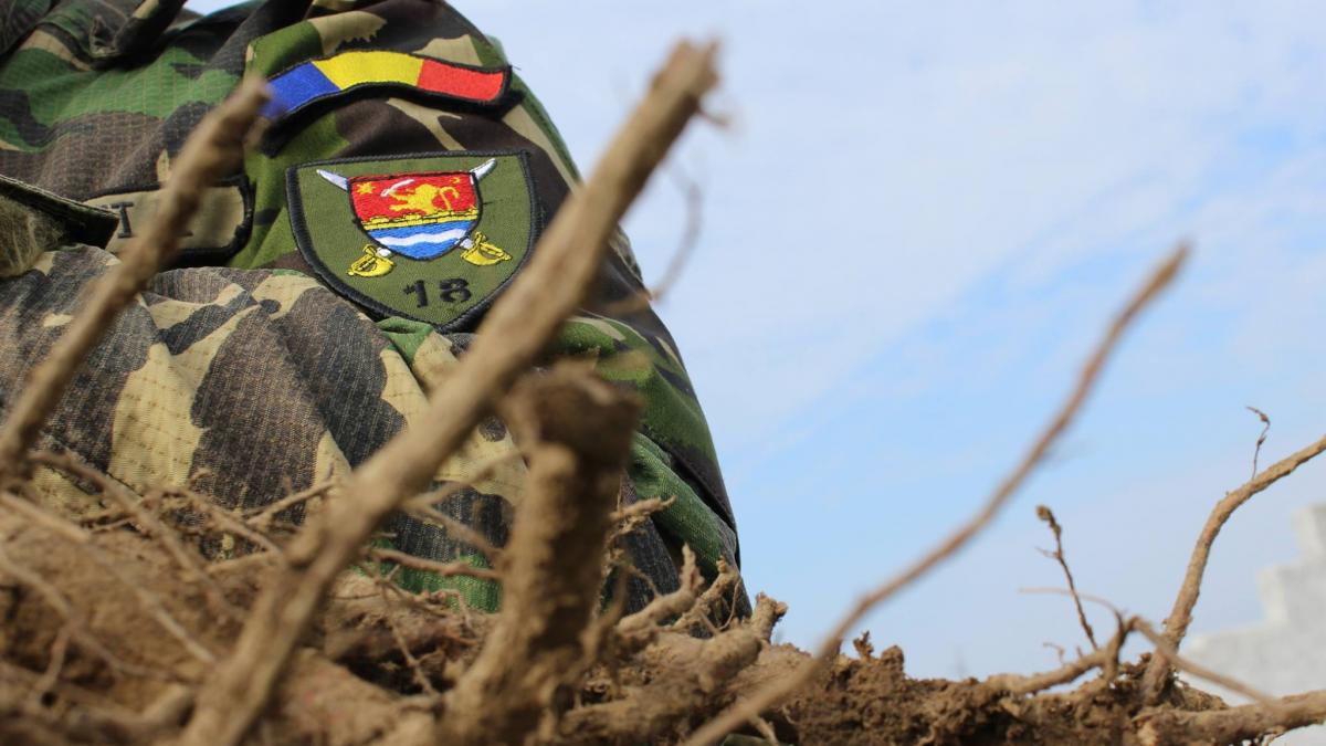 ministrul apararii serviciu militar obligatoriu nu a fost eliminat el este doar suspendat