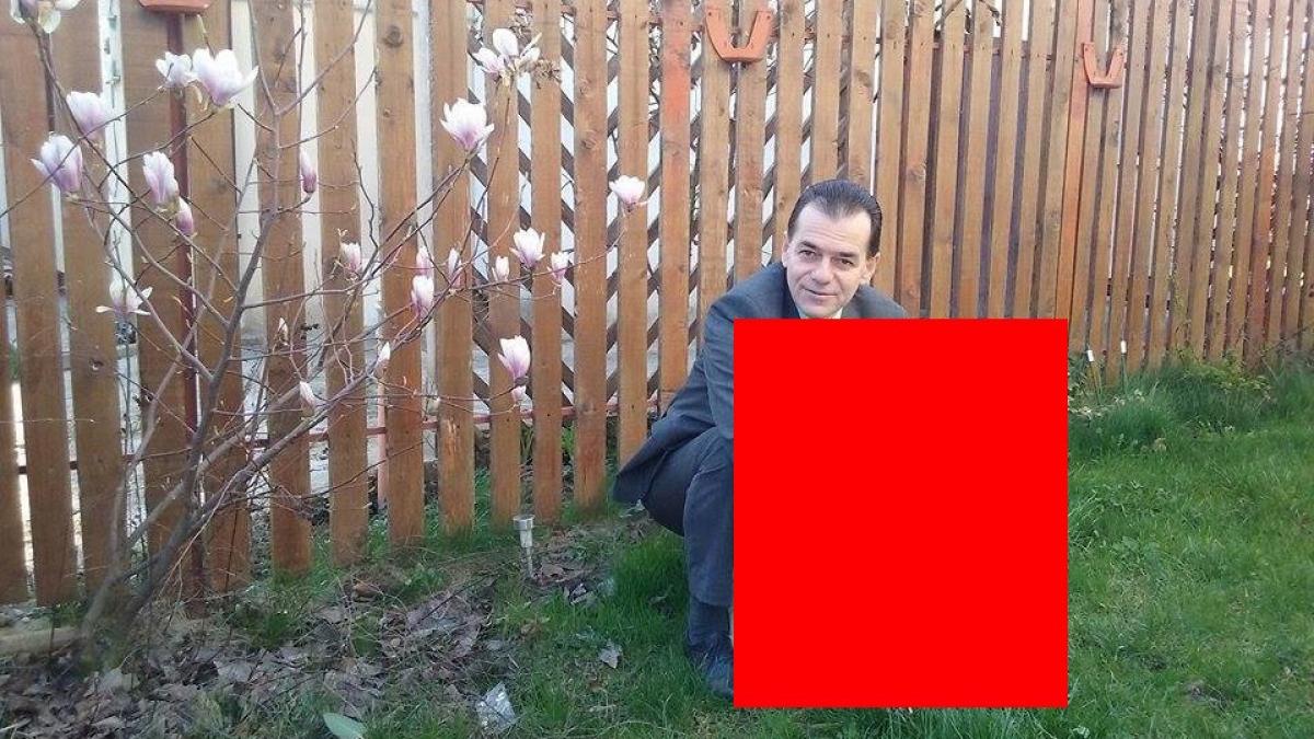 ludovic orban a facut o fotografie in gradina casei internautii au reactionat dur orban a ripostat