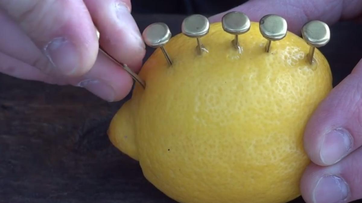 o lamaie ar putea sa ti salveze viata video