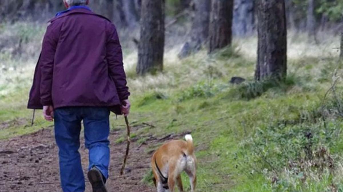 un barbat a murit dupa ce a iesit sa si plimbe cainele