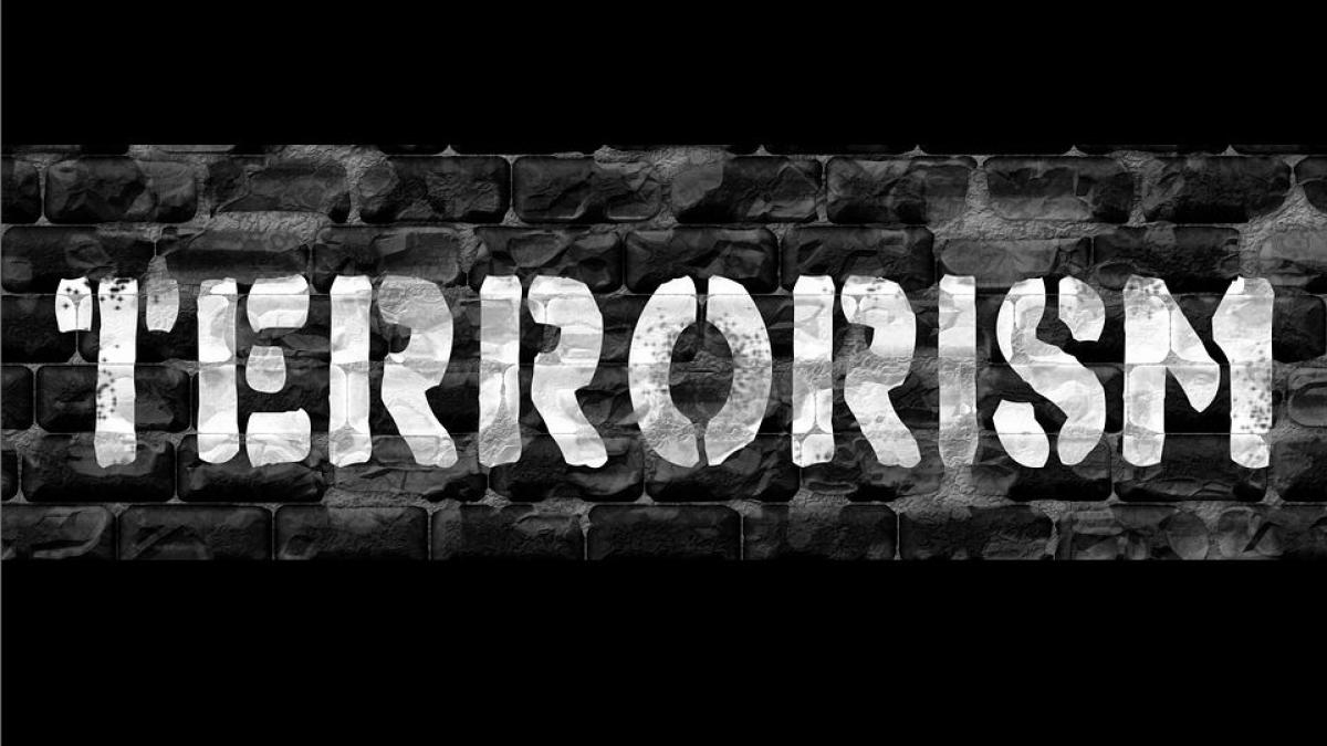 ce au in comun atacurile de la paris si cele de la bruxelles