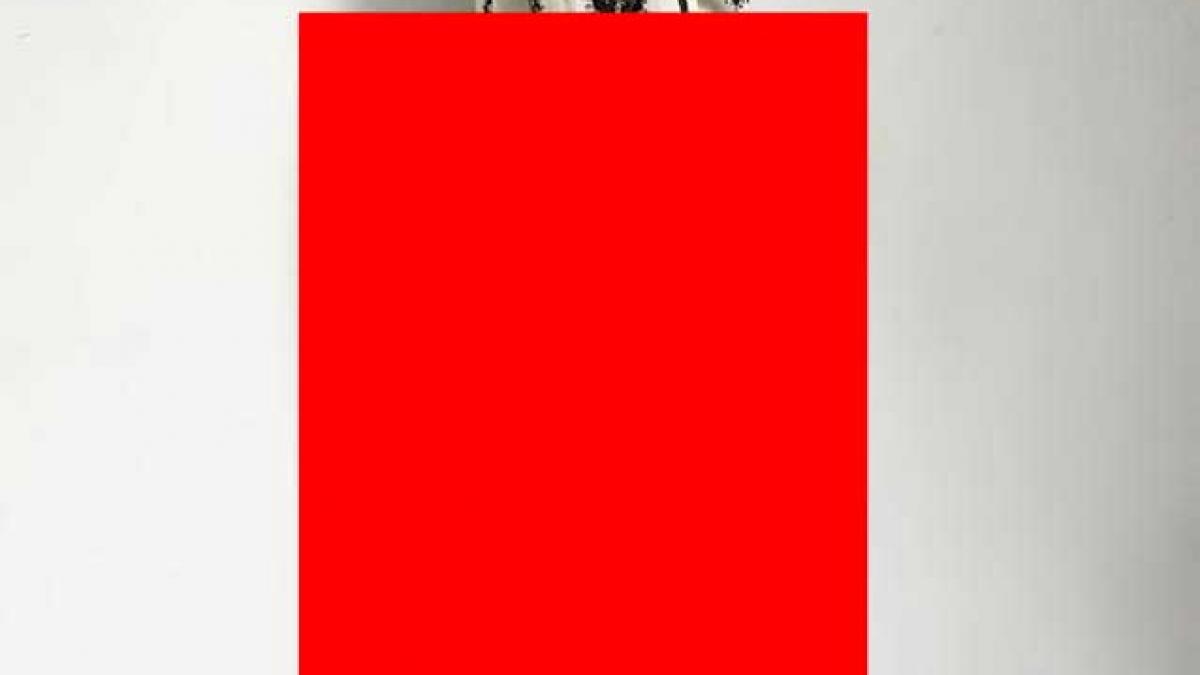 ce fund mare are gina pistol uite cum arata