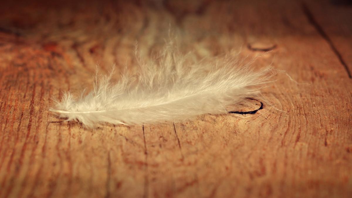 isi renova casa proaspat cumparata ce a gasit sub parchetul vechi omul a ramas fara cuvinte