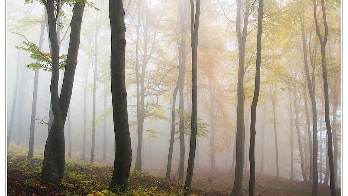 meteo vreme zgripcea prognoza weekend